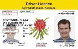 Full License Nsw